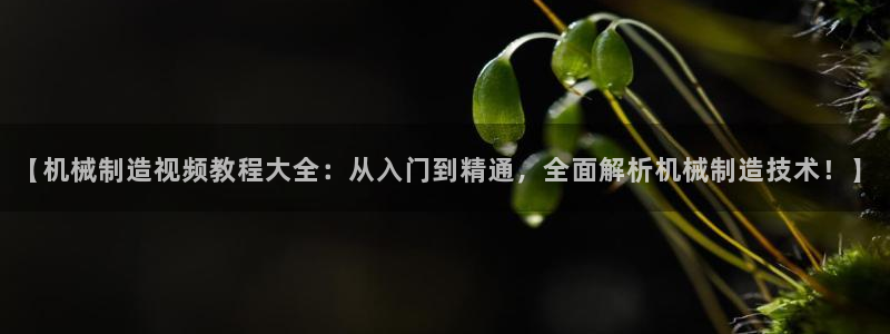 彩神争霸官方登录
