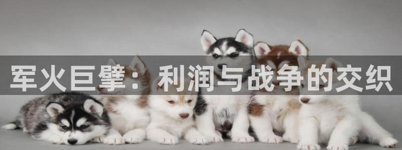 下载彩神乐发V