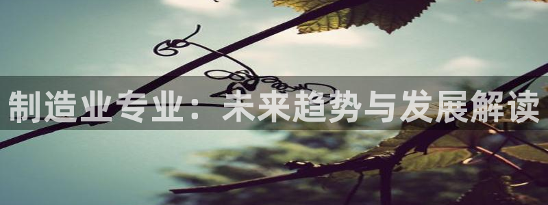彩神购彩-购彩大厅入口计划群