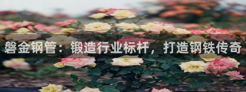 彩神vip购彩