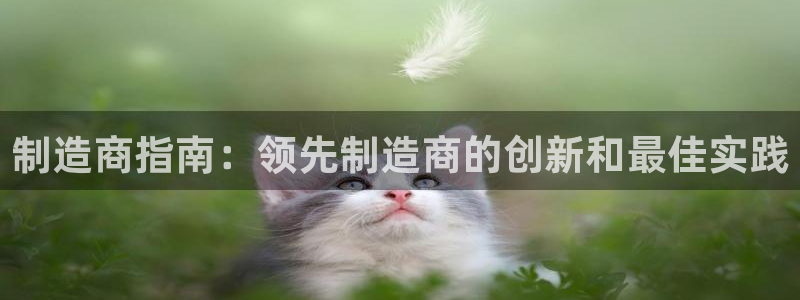 彩神团队是真的吗