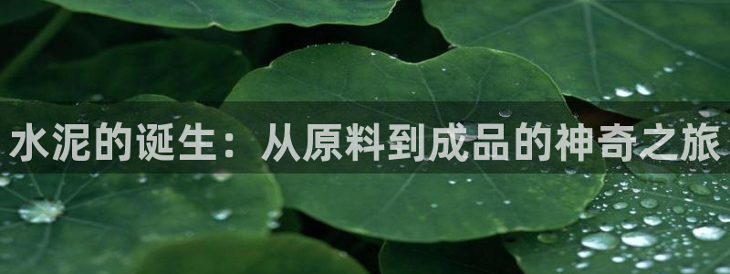 新版彩神v8登录