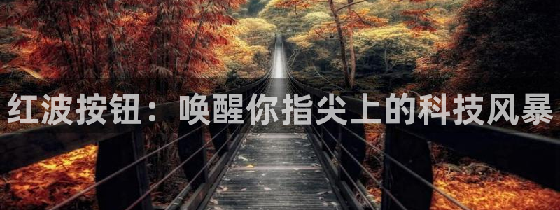 新版彩神v8登录不了