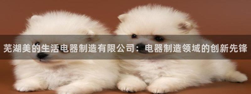 彩神vip购彩大厅下载
