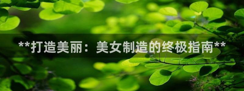 彩神大发官网