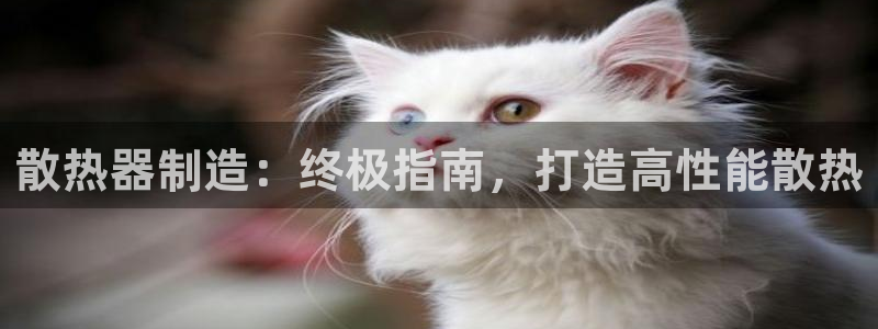 彩神通关注码金码对应码：散热器制造：终极指南，打造高性能散热