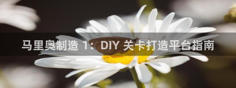 彩神广告有限公司：马里奥制造 1：DIY 关卡打造平台指南