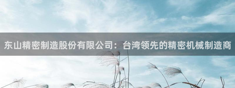 彩神怎么样可以提现：东山精密制造股份有限公司：台湾领先的精密机械制造商