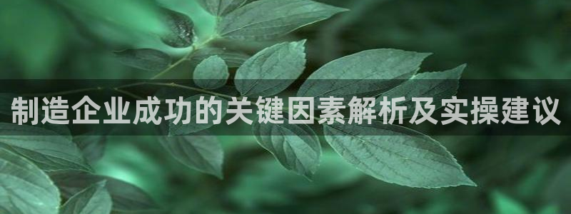 彩神vl购彩大厅：制造企业成功的关键因素解析及实操建议