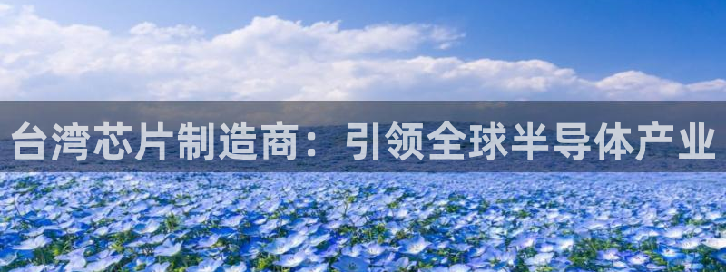 彩神8官网下：台湾芯片制造商：引领全球半导体产业
