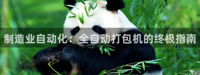 彩神争霸老平台