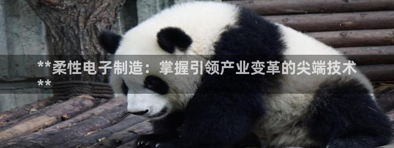 彩神v8手机客户端在哪：**柔性电子制造：掌握引领产业变革的