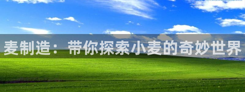 下载彩神乐发V：麦制造：带你探索小麦的奇妙世界